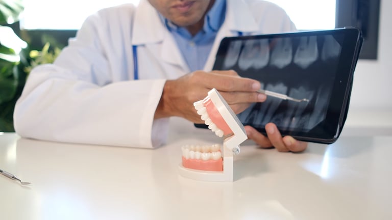 Dentist explaining oral health concepts using a tablet and jaw model